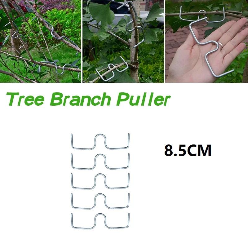 

10PCS Metal Fruit Tree Branch Puller, Spreader, Open Angle Bending Tool for Apple, Plum Trees, Young Branches, Increases Light, Promotes Yield 10PCS белый