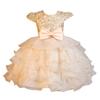 Girls' Puffy Organza Dress with Bow and Embroidery
