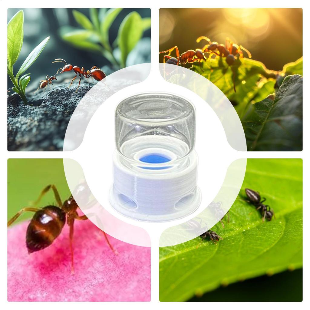 12ml Clear Ant Feeder Crickets Water Tower Station Anti-Drowning Transparent Drinking Feeder Ant Water Bowl For Ant Crickets
