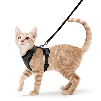 Harnais et laisse pour chat, gilet souple et réglable, anti-fuite, harnais pour chats, veste à bandes réfléchissantes respirantes, facile à contrôler