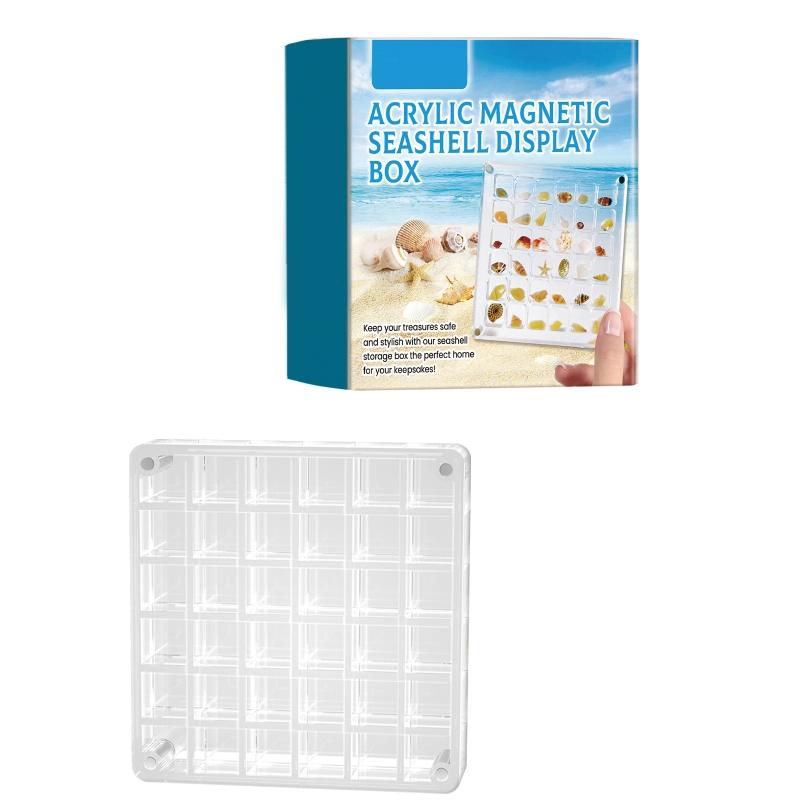 Clear Shells Display Case Seashells Storage Box for Home Decoration and Museums