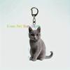Funny Cat Key Chain Keychains Ring for Accessories Bag Pendant Keyring Jewelry Cute Animal Pet Llaveros Friends Gifts Cool Cats