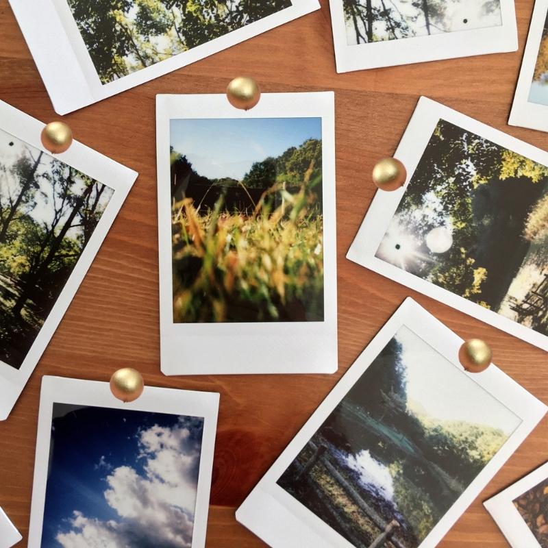 Pack Of 50 Wood  Push Pins Natural Wood Thumb Tacks Minimalist Cork Board Pins Decoratvie Pins for Home & Office Use