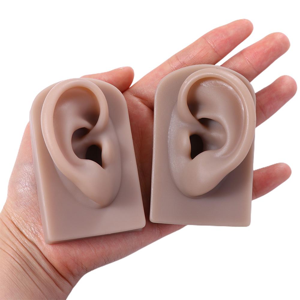 Body for Hearing Teaching Silicone Ear Model Simulation Ear Fake Ear Jewelry Earrings Display