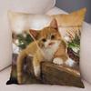 Cute Pet Animal Print Pillowcase Funny  Cat  Decoration Car Sofa Home Cushion Cover