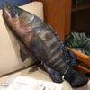Lustiger Plüsch-Thunfisch Plüschtier Cartoon Arbeit Nickerchen Kissen Puppe 40cm