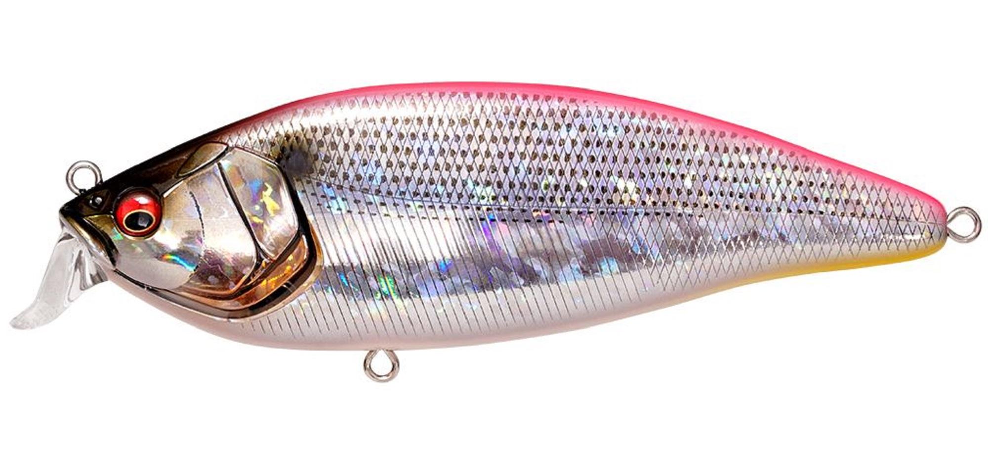 Leurre Flottant Megabass Konosirus Shad 150 Mm – 72g, Couleur Konoshiro (4609), Pour Thon