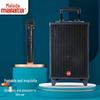 Malata M+9416 Portable Bluetooth Trolley Speaker