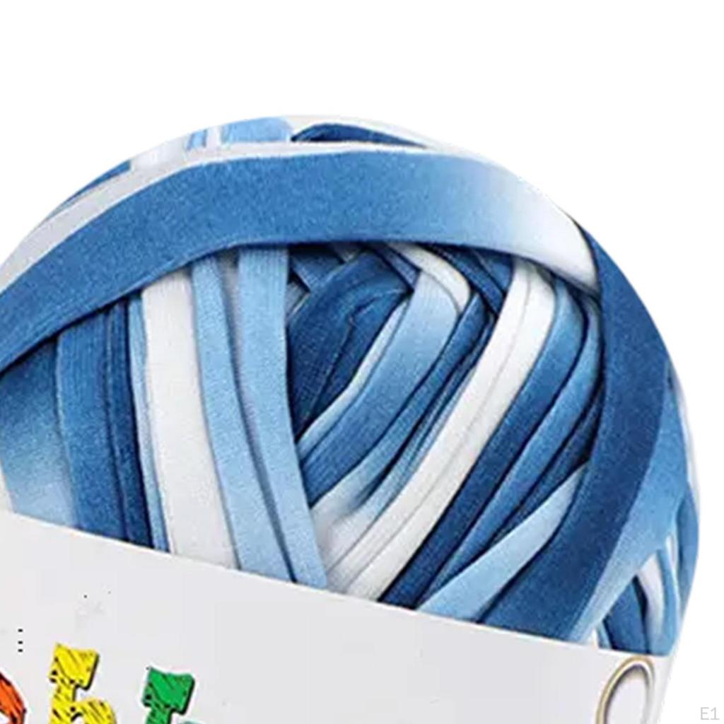 T Shirt Yarn Elastic for Crocheting Thick Crochet Pet Bed Bags Rugs White Blue