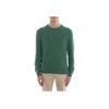Polo Ralph Lauren Small Pony Logo Embroidered Crew Neck Long Sleeve Sweater Men sweater Green MNPOSWE16820007-300