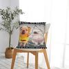 Funny Pibble Meme Wash My Belly Clean My Belly Meme Pillow Cover Cushion Cover Fashion Pillow Case For Wedding Party Home Decor