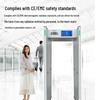 Gepai TC-60 Smart Phone Security Gate