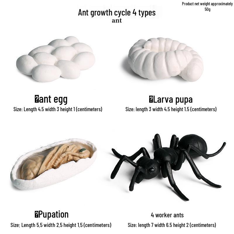 Lion Pride Simulation: Male & Female African Lion Figurines - Plastic Wild Animal Action Models