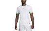 Nike Nigeria 2024 Stadion Domácí Pánský Nike Dri FIT Fotbalový Replica Dres FQ8837-100