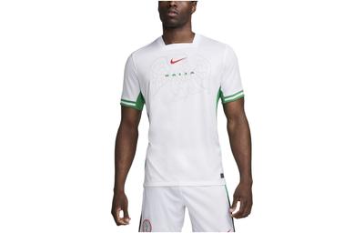 Nike Nigeria 2024 Stadion Domácí Pánský Nike Dri FIT Fotbalový Replica Dres FQ8837-100