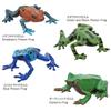 Calorata Frog 3D Encyclopedia Frogs with Realistic Figures Birthday Gift Sanitation Law Figure Box Christmas Gift (16 Instructions) (Educational Toys)