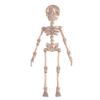3D Printed Skeleton Refrigerator Magnet Halloween Poseable Skeleton Figurine with Movable Joints