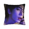 Zhang Linghe Pillow Case  Soft Pillow Cover For Living Room Sofa Retro Trendy Cushion Cover