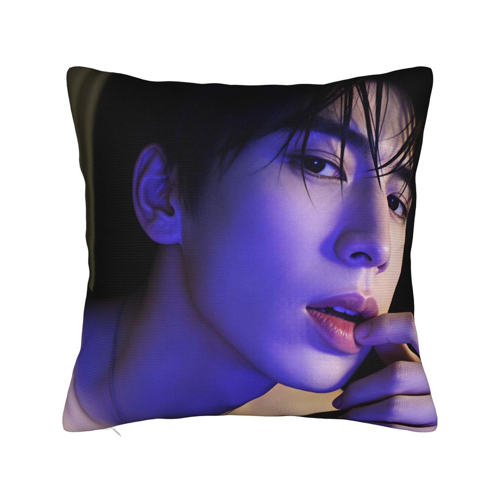 Zhang Linghe Pillow Case  Soft Pillow Cover For Living Room Sofa Retro Trendy Cushion Cover