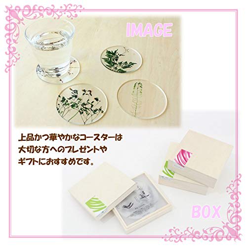 Toumei Pressed Flower B Coasters, Set of 4, Wooden Box