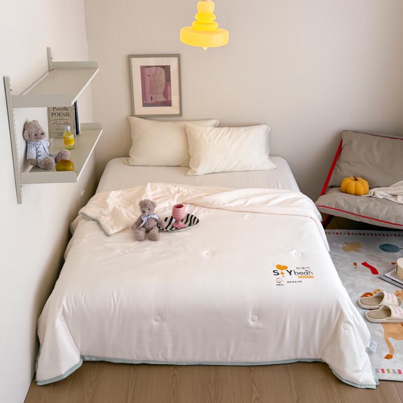 

Southern Life Ultra-fine Feather Silk Cotton Summer Quilt