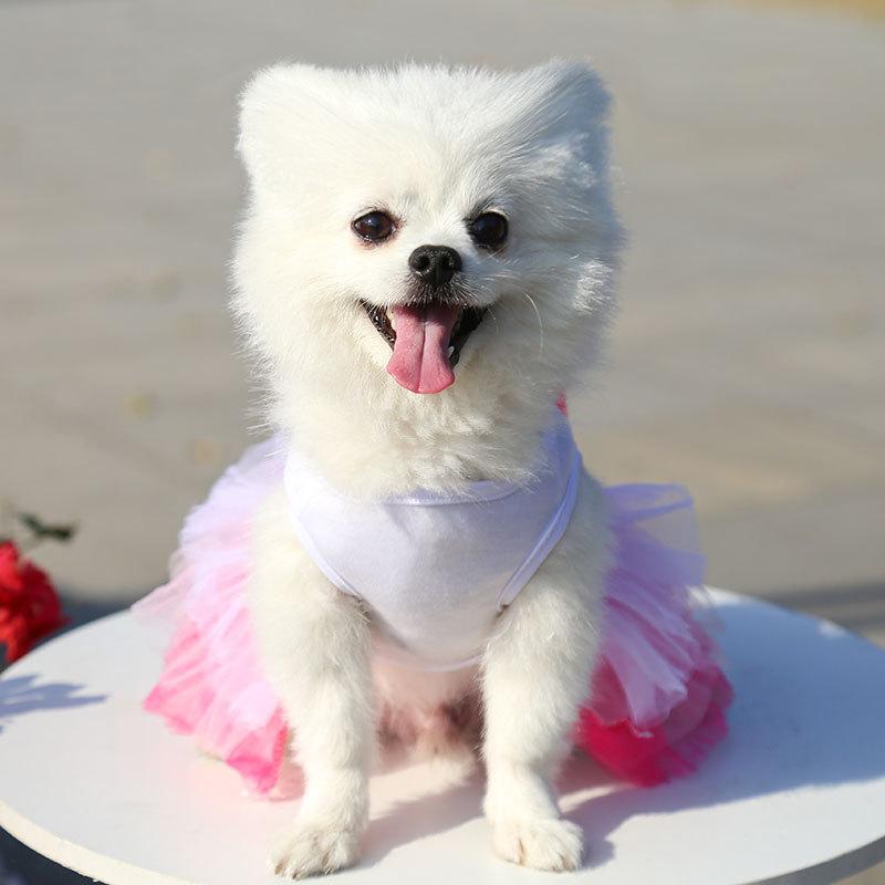 1Pcs pet clothes spring and summer cat clothes pet dog skirt pet supplies cat gauze skirt