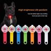 LED-Halsband für Haustiere, Hunde und Katzen, Anhänger, Nachtsicherheit, Katzenlicht, IPX7, wasserdicht, blinkendes Geschirr mit Licht für Hundezubehör