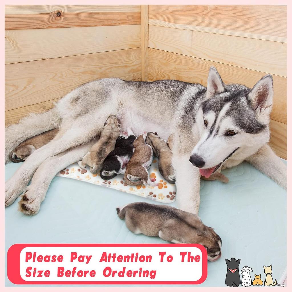 Panelee 8 Pieces Puppy Blanket Dog Blanket Fleece for Medium Small Dogs Soft Flannel Throw Pet Pad Paw Print Sleep Mat Bed Cover for Cats Pets Cage