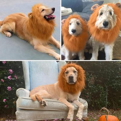 1 Stück Niedliche Haustier Hund Cosplay Kleidung Löwenmähne für Hundekostüme Realistische Löwenperücke für Mittelgroße bis Große Hunde mit Ohr Haustierzubehör