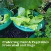 5/10pcs Snail Collars Slug Plant Protection Collars Vegetables Covers Reusable Agricultural Plant Snail Guard Save Water