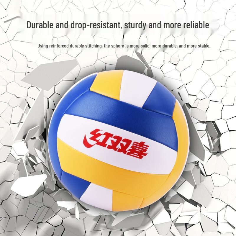 DHS Competition & Training Volleyball - Size 5
