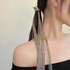 Cold and Distinctive Long Tassel Hairpin High-end Feel New Chinese-style Ponytail Hairpin Exaggerated Hairpin Hair Accessory New