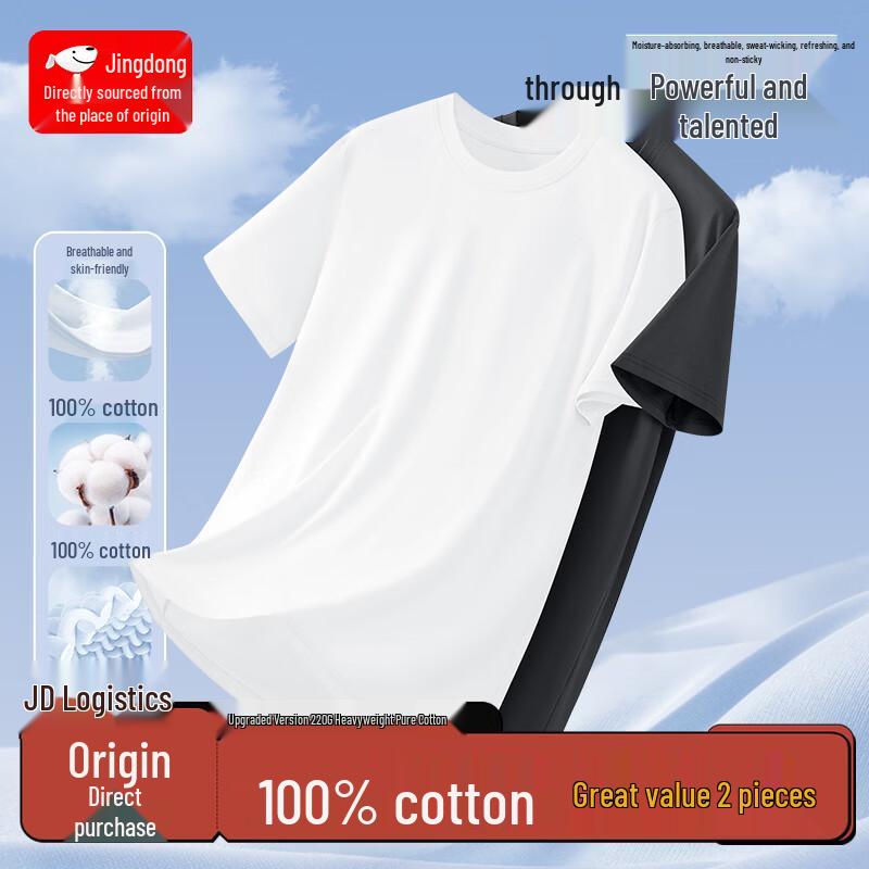 Men's Heavyweight Cotton Round Neck T-Shirt (2-Pack)