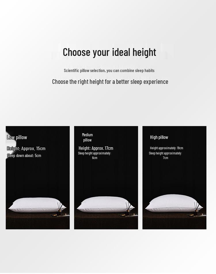 White Goose Feather Pillow Core 45x45cm: Hotel Sofa Cushion for Lumbar Support