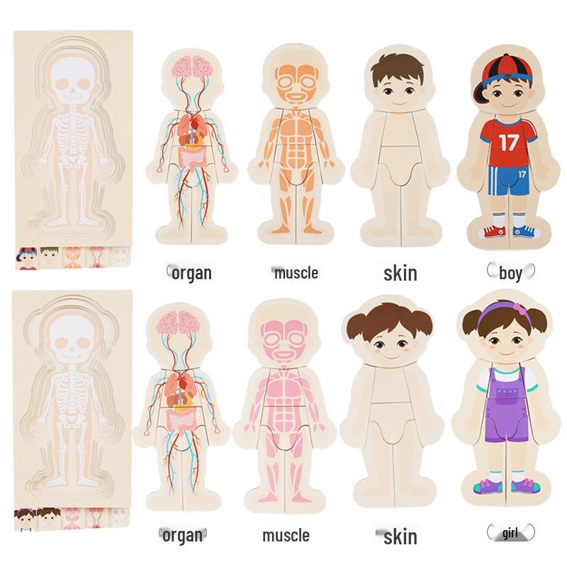 Wooden Multi-layer Body Structure Puzzle for Kids Ages 3-10 - Educational Toy for Early Learning
