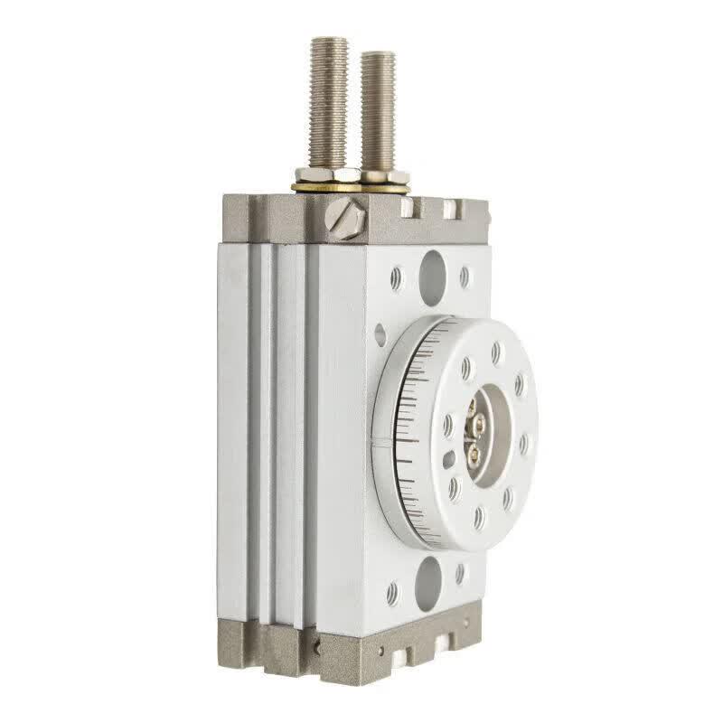 Xinyian MSQB Series Adjustable Rotary Cylinder CN Plug (adapter Included)