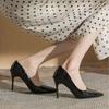 Nude High Heels Women's Spring Summer New French Light Mouth Versatile Black Professional Pointed Stiletto High Heels