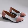 Fashion 2025 Spring New Women's Shoes Fashion Color Blocked Shoes Light Mouth Pointed Flat Bottom Small Single Shoes for Women