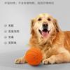 Cães – Brinquedos para cães