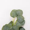 Artificial Eucalyptus Vine for Birthday/Wedding Decor - Fresh, Small Ins-Style Hanging Leaves