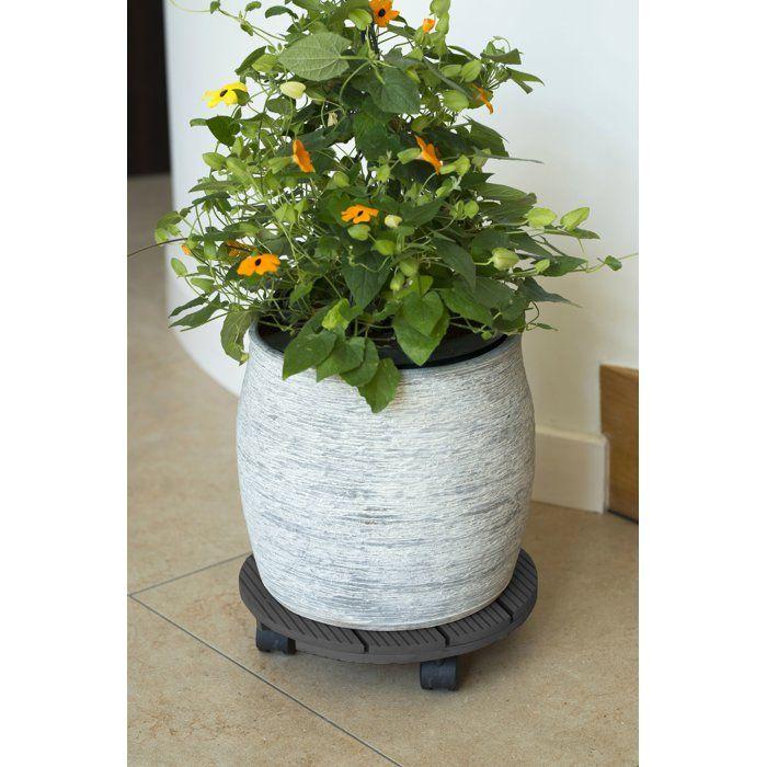 Support de pot roulant - NATURE - Composite - Diametre 30 cm - Anthracite