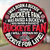 Ohio State Buckeyes Fan Metal Sign, Sports Garage Wall Decor, 20x20 Cm