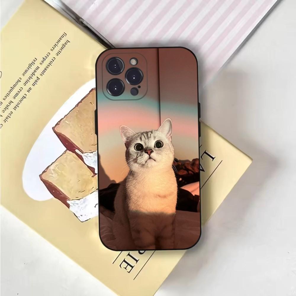 Pet Cat Funny memes Phone Case For iPhone 16,15,14,13,12,11,Pro,X,XS,Max,XR,Plus,Mini Soft Black Cover