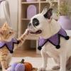 Five-pointed Star Pet Bib Knitted Bib, Handmade Shape Cat Crochet Small Dog with Black Pom-poms for Cats Dogs Halloween Outfit Non-tightening Collar