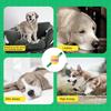 Ball Toys For Dogs Interactive Game Puppy Ball For Puppy Small Medium Large Breed Boredom Self-Entertainment Outdoor Park