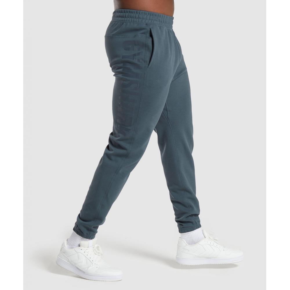 

Джоггеры GYMSHARK Impact Titanium Blue A6A5W UCMQ S