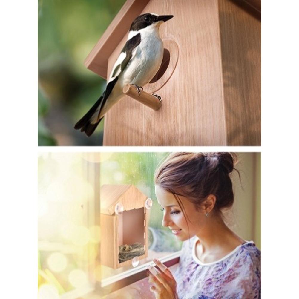 21cm Outdoor Bird Nests With Strong Suction Cups Wooden House Design Visible Bird Home House Bird Feeder Tools