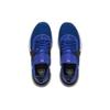 Under Armour Project Rock 4 'Royal' 3023695-400