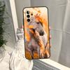 Animal Steed Horse Case For Samsung Galaxy A35 A55 A15 A34 A54 A14 A56 A52 A53 A16 A26 A36 A32 A12 A33 A13 A17