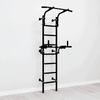 Teenager Plus wall-mounted gymnastics ladder - elite black